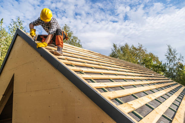 Best Roof Inspection Near Me  in Hohenwald, TN