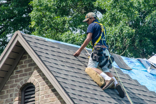 Best Local Roofing Companies  in Hohenwald, TN